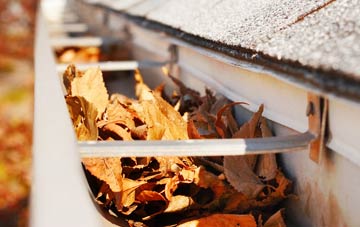 Llanreath gutter cleaning companies